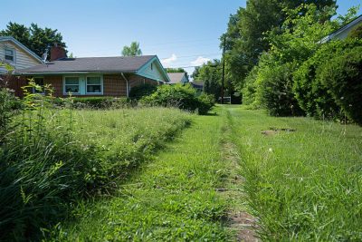 votre maison est-elle en danger à cause du terrain non entretenu du voisin ? réponses légales